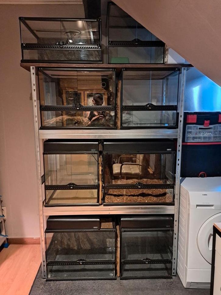 Exo Terra 6 Terraria, Dieren en Toebehoren, Reptielen en Amfibieën | Toebehoren, Zo goed als nieuw, Ophalen