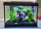 Aquarium met filter verwarming en toebehoren, Dieren en Toebehoren, Ophalen, Zo goed als nieuw
