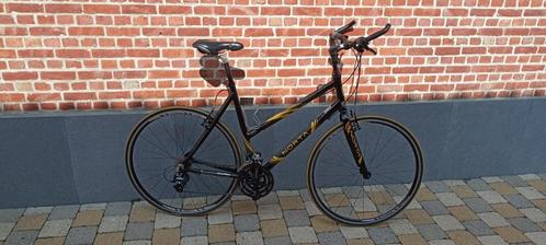 lady's bike, Fietsen en Brommers, Elektrische fietsen, Gebruikt, Overige merken, 55 tot 59 cm, Ophalen of Verzenden