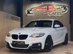 BMW 2 Serie 220 D * PACK M PERFORMANCE * GAR 12 M * 110MKM *, Auto's, 4 zetels, 4 cilinders, 2 Reeks, Alcantara