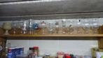 set van 16 speciale bierglazen, Verzamelen, Biermerken, Ophalen of Verzenden, Nieuw, Duvel