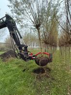 knotwilgen (Salix alba), Tuin en Terras, Planten | Bomen, Ophalen