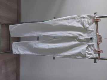 Broek beschikbaar voor biedingen
