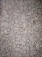 Voederaardappelen, Ophalen