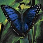 peinture papillon paysage papillon bleu, soignée par joky ka, Enlèvement