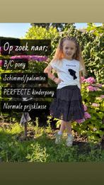 OP ZOEK naar de liefste kinderpony, Dieren en Toebehoren, Ophalen of Verzenden