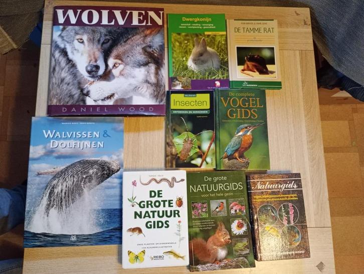 Leerrijke boeken over dieren: vogels vissen insecten enz..., Boeken, Dieren en Huisdieren, Zo goed als nieuw, Overige diersoorten