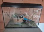 Aquarium 60 l + verwarmingselement + pomp met filter, Ophalen