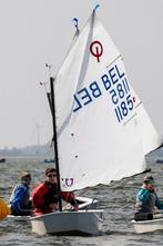 Wedstrijd Optimist BEL 1185 te koop, Sports nautiques & Bateaux, Optimist, Comme neuf, Enlèvement, Moins de 3 mètres