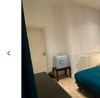 DESIGN KOELKASTJE VOOR SALON OF SLAAPKAMER, Minder dan 75 liter, Ophalen, Gebruikt, Zonder vriesvak