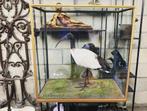 Ibis sacré Rowland Ward, Antiek en Kunst
