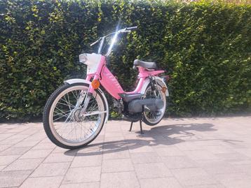 Honda camino, Enlèvement