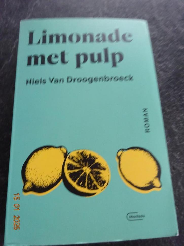 Limonade met pulp van Auteur: Niels Van Droogenbroeck, Boeken, Romans, Zo goed als nieuw, Ophalen of Verzenden