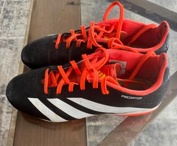 Kinder Voetbalschoenen Adidas Predator maat 38 beschikbaar voor biedingen