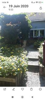 Coquette petite maison à vendre dans le  village de Presles, Immo, Maisons à vendre