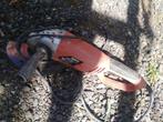zware haakse slijper, Ophalen, Gebruikt, 1000 watt of meer, Haakse handslijpmachine