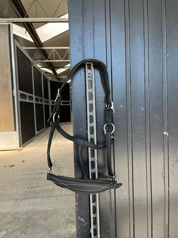 Kast opruiming - paardenspullen voor lage prijs beschikbaar voor biedingen