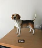 Beeldje beagle, Ophalen, Zo goed als nieuw