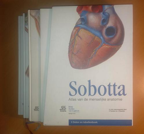 Sobotta anatomie atlassen 4 delig, Boeken, Studieboeken en Cursussen, Gelezen, Ophalen of Verzenden