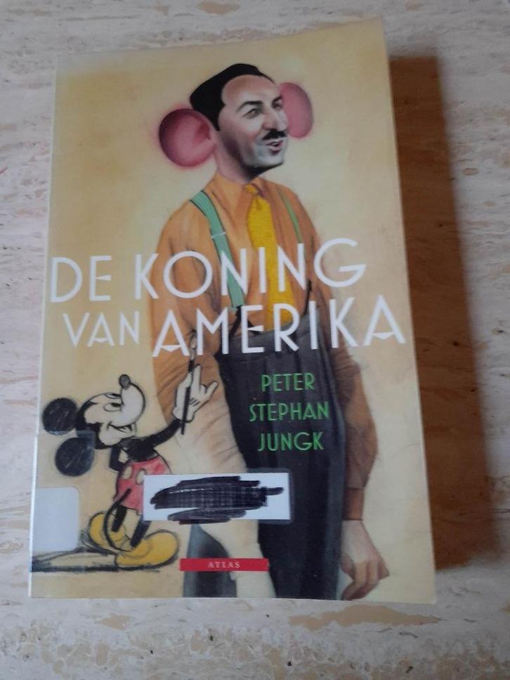 Boek 'De Koning Van Amerika' (bio over Walt Disney), Boeken, Biografieën, Gelezen, Film, Tv en Media, Ophalen of Verzenden