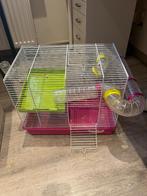 Hamsterkooi met bijhorende speeltjes, Dieren en Toebehoren, Minder dan 60 cm, Gebruikt, Ophalen of Verzenden, Hok