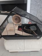 Modern Hamsterkooi, Dieren en Toebehoren, Ophalen