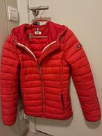 jas, Ophalen of Verzenden, Tommy hilfiger, Gedragen, Rood