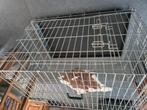 Bench voor middelgrote tot grote hond., Dieren en Toebehoren, Ophalen, Gebruikt
