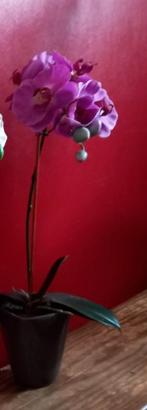 Orchidée rose -> 3€, Comme neuf, Intérieur, Enlèvement ou Envoi