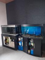 juwel vision aquarium, Animaux & Accessoires, Poissons | Aquariums & Accessoires, Aquarium d'eau douce rempli, Enlèvement, Utilisé