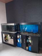 juwel vision aquarium, Animaux & Accessoires, Aquarium d'eau douce rempli, Enlèvement, Utilisé