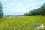 Terrain à vendre à Bievre (Naomé), Immo, 1000 tot 1500 m²