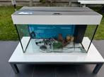 Aquarium Jewel avec tous les accessoires 150 euros, Enlèvement