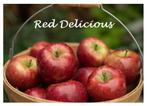 ACTIE !!! LAAGSTAM APPELAARS oa GOLDEN DELICIOUS, 5 €/ST !!!, Volle zon, Vaste plant, Ophalen of Verzenden, Fruitplanten