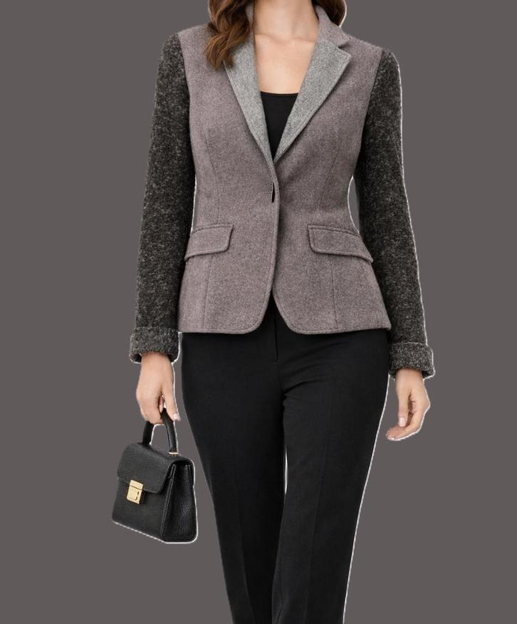 Blazer Fabiana Filippi en taille 36, Vêtements | Femmes, Vestes & Costumes, Porté, Manteau, Taille 36 (S), Gris, Enlèvement ou Envoi