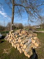 40 cm brandhout, Tuin en Terras, Brandhout, Ophalen, Blokken