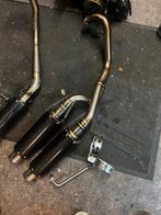 Dax d'échappement pour fusil de chasse, Enlèvement ou Envoi, Pot d'échappement