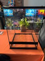 Terrarium Zoo Med 45x45x60 complet etat comme neuf, Enlèvement, Comme neuf