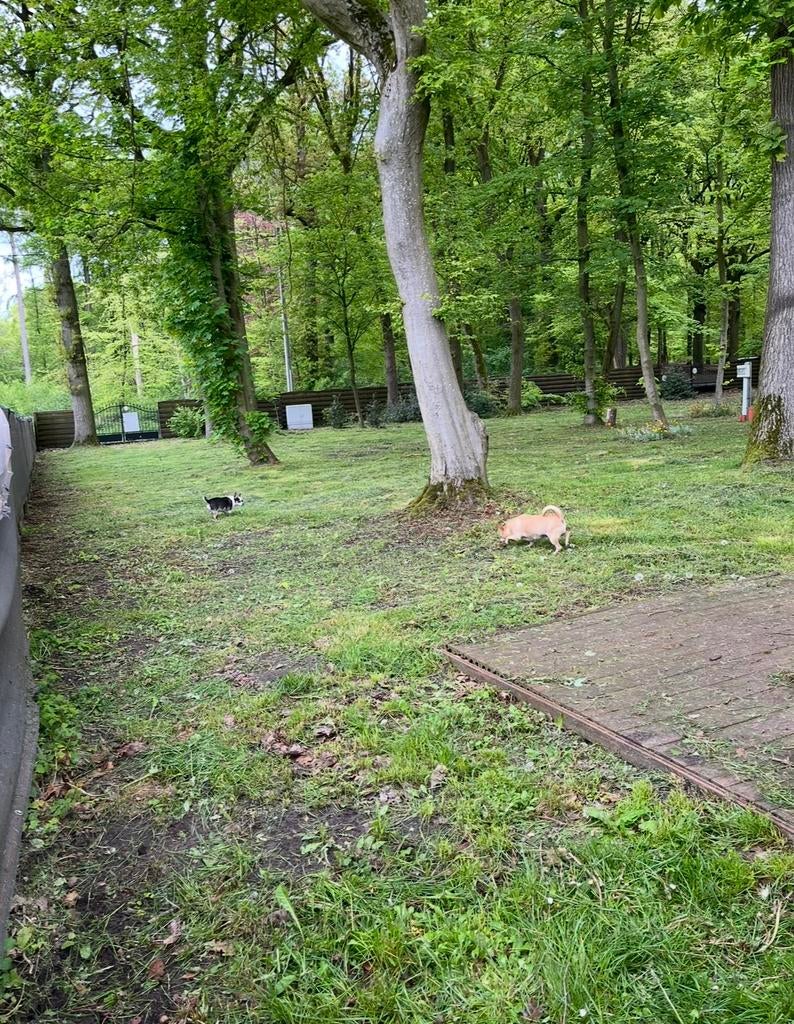 ZELDZAME HANGAR MET UITGERUST LAND STAMBRUGES MER DE SABLE, Antiek en Kunst, Ophalen