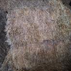 Straw à vendre, Animaux & Accessoires, Enlèvement ou Envoi