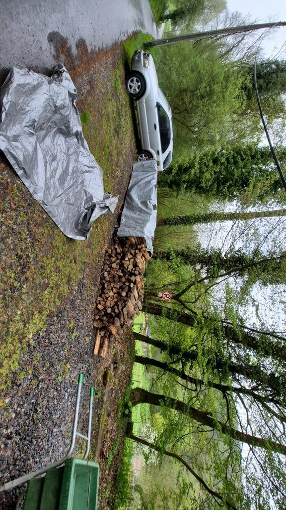 Bois de chauffage chêne, Tuin en Terras, Aarde en Mest, Ophalen