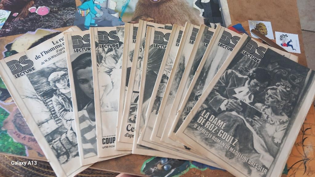 11 nummers van het tijdschrift BS LECTURE, Boeken, Tijdschriften en Kranten, Zo goed als nieuw, Krant, Ophalen of Verzenden