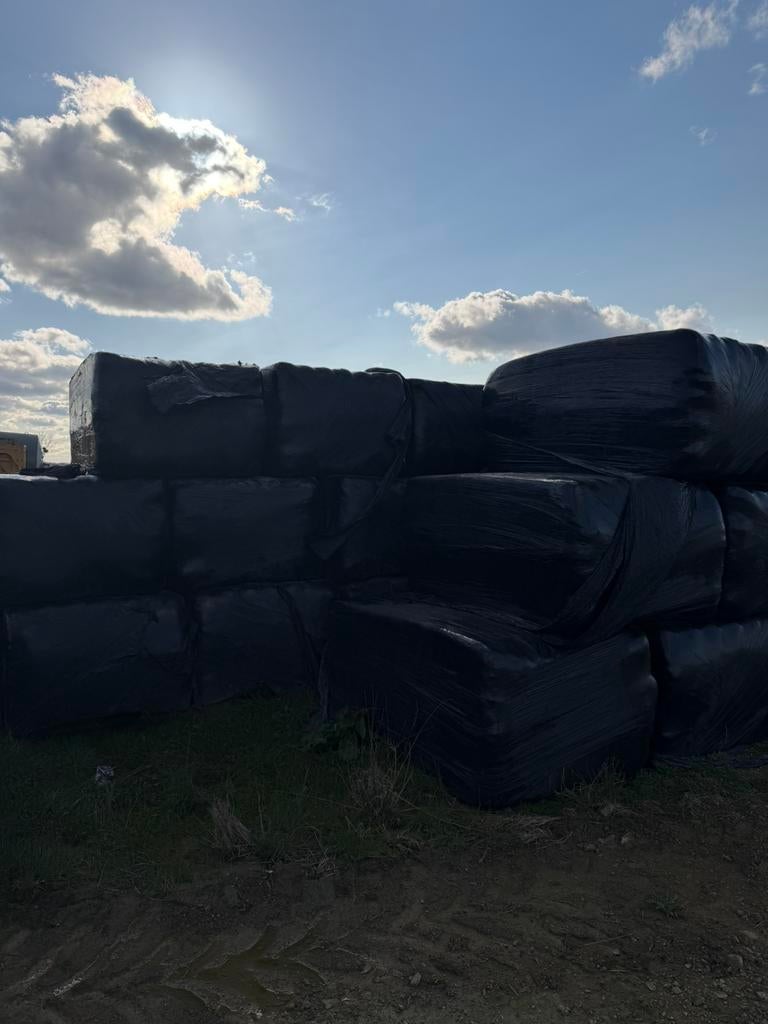 Ballots prefanee, Enlèvement