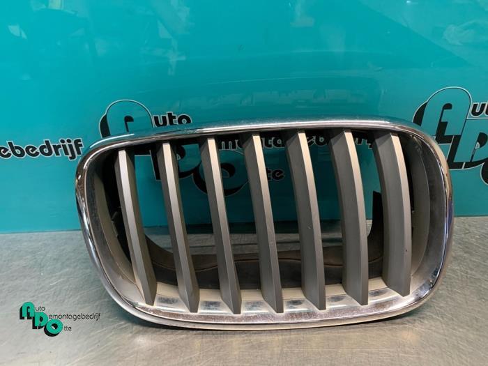 Grille van een BMW X5 (X5 07-) (NVT), Auto-onderdelen, Carrosserie, BMW, Gebruikt, 3 maanden garantie, Ophalen of Verzenden