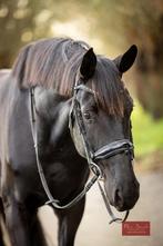 Dressuur merrie ( sir donnerhal,sandro-hit,united), Animaux & Accessoires, Chevaux, Cheval de dressage, Débourré, Avec pedigree