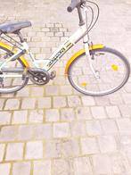 Meisjesfiets, Autres marques, Vitesses, Moins de 47 cm, Enlèvement