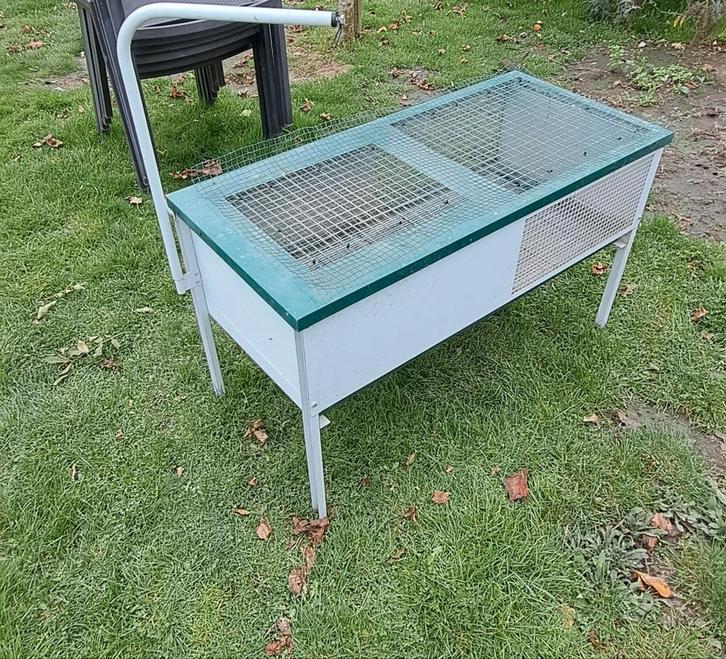 Opkweekkooi kuikens te koop, Dieren en Toebehoren, Pluimvee