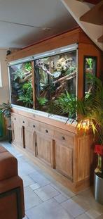 Uniek groot dubbel terrarium met 3D achterwand, bovenkast, Dieren en Toebehoren, Ophalen, Verlichting