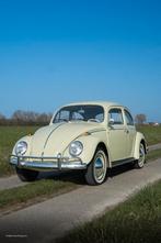 VW coccinelle 1200 Beryl green restaurée + garantie, Autos, Achat, Entreprise, Garantie prolongée, Boîte manuelle