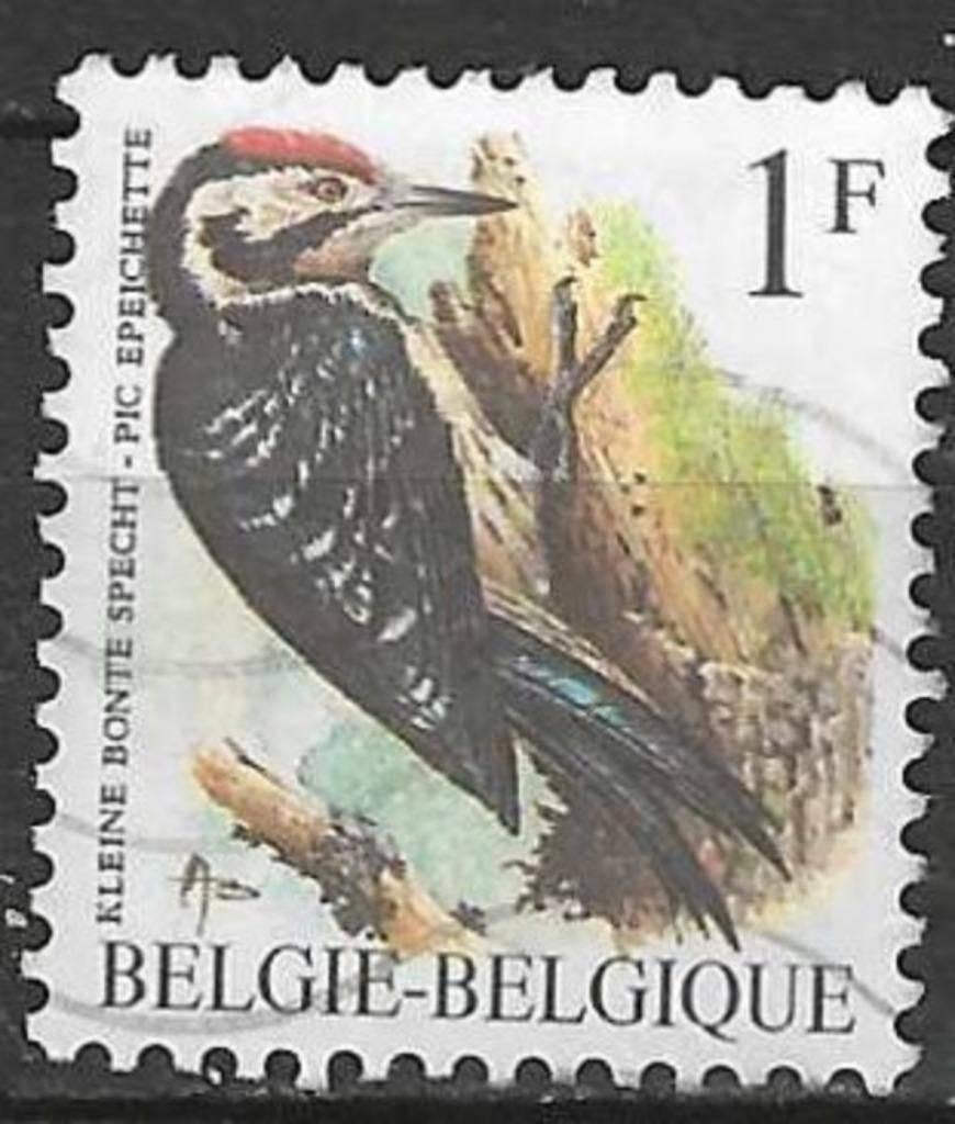 Belgique 1990 - OBP 2349 - Buzin - Pic tacheté - 1 F. (ST), Timbres & Monnaies, Envoi, Affranchi, Oblitéré, Véhicules